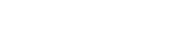 Intrepid Metals Logo